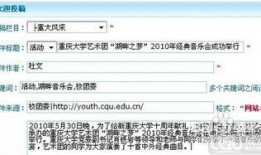新闻媒体爆料投稿流程,揭秘新闻媒体爆料投稿的神秘流程